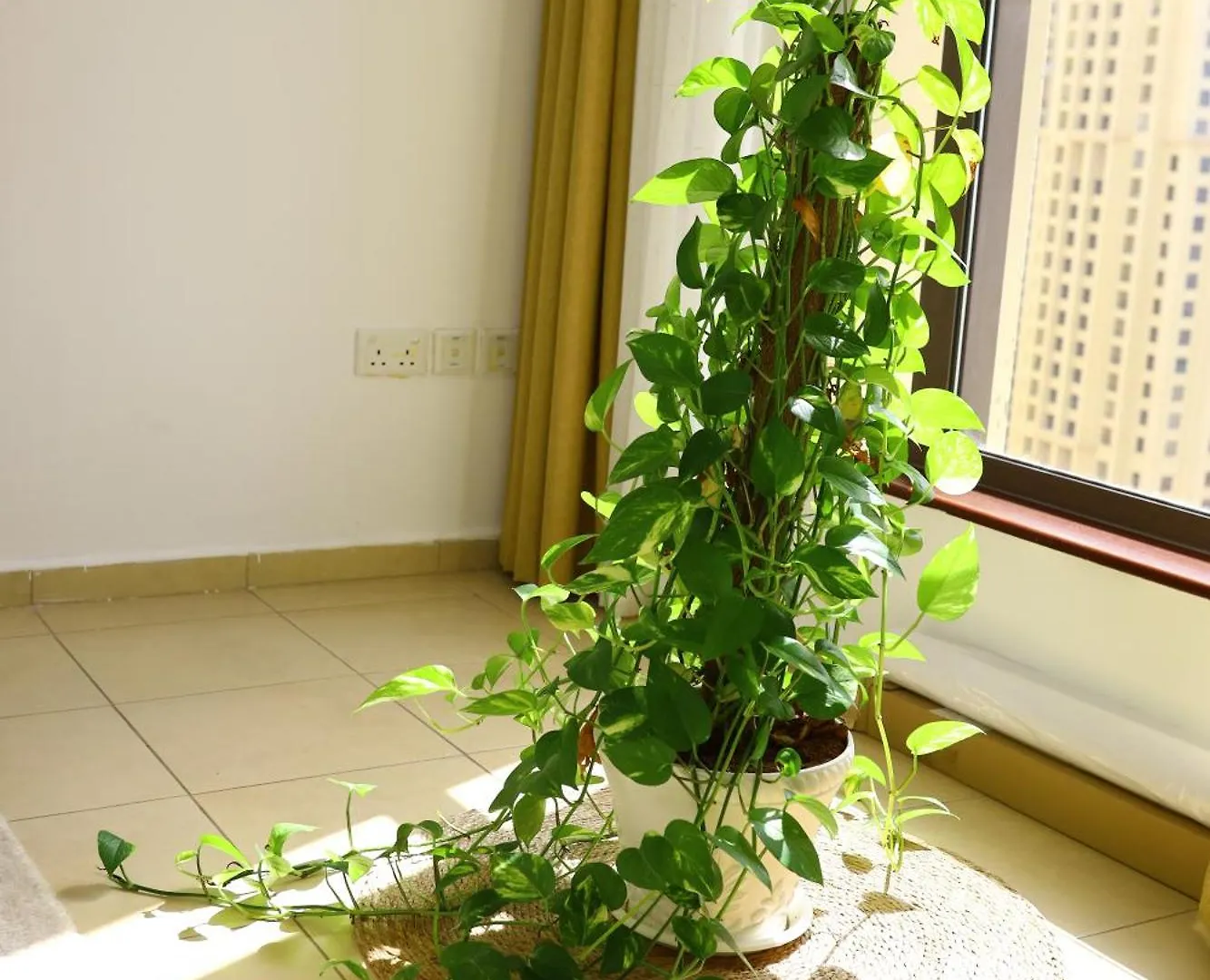 Shams Murjan Jbr Hostel Dubai 0*,